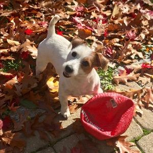 Meet your Posher, Denise